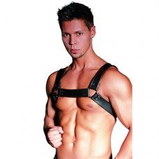 Leather Chest Harness